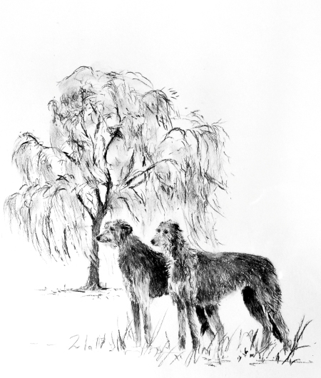 Deerhounds von der Weidenvilla Logo